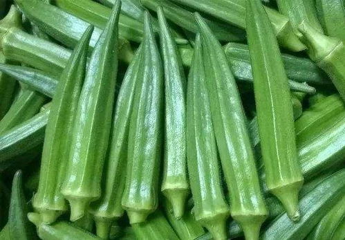 秋葵种植最适合使用什么类型的肥料