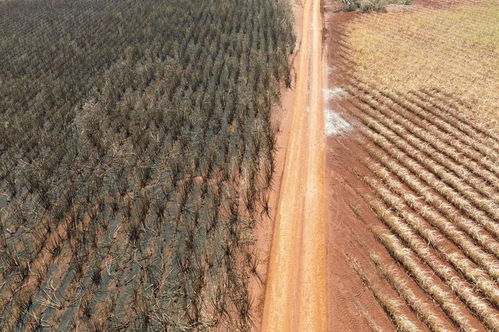 湿度管理，罗纹铁的贴心小棉袄