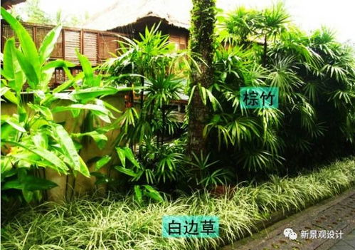 园林植物种植设计原则