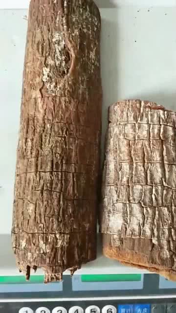 非洲树皮有哪些神奇功效？如何正确使用