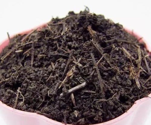 2. 松针铺面 保湿又补酸