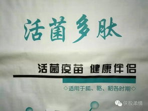 百宜饲料厂简介中提到的绿色环保饲料有哪些具体特点？