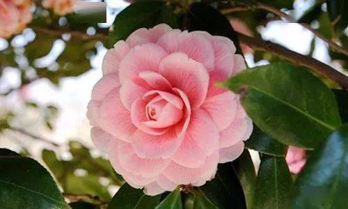 三、温度控制，要讲究