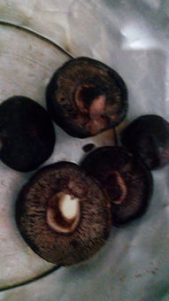 香菇变黑了还能安全食用吗
