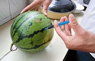 什么时候给果树打增甜剂，为什么现在水果越来越甜？