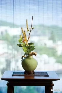 空间， 是自然的呼吸