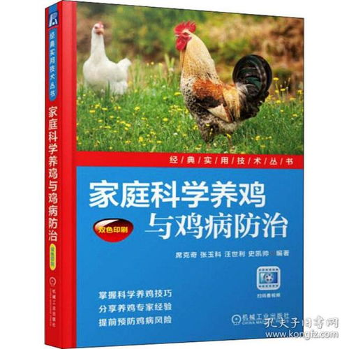 鸡病防治：四宜四忌
