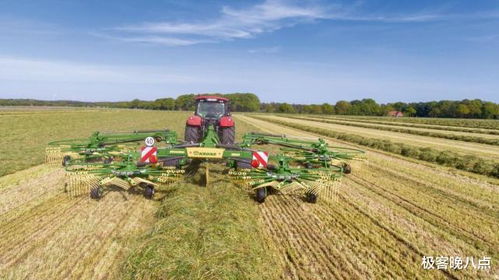 种博落回种子采收时间差3天损失30%，咋办？