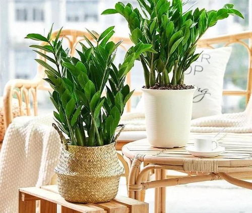 浇水黄金公式，你get了吗？