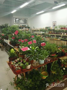 搬迁后的市场， 位置成谜