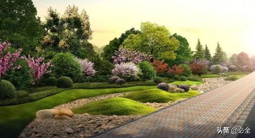 第三原则：提高树种多样性