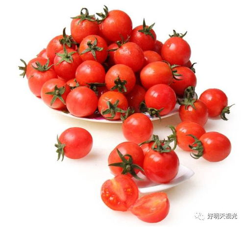 圣女果种植时间及是否为水果的疑问