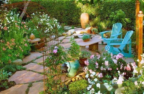 小院无阳光，如何种植美丽的爬墙花？