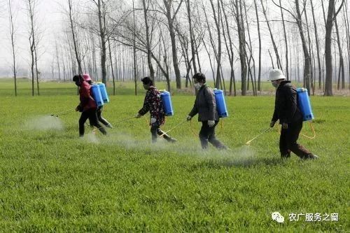 农药种类那么多，咋选呢？