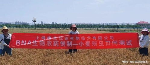 听说还有啥生物农药，是不是比那些化学农药好？