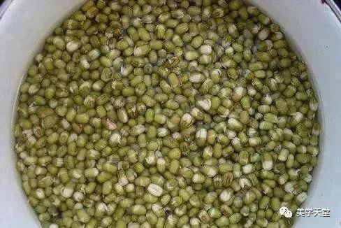 花生芽芽冒出来了时候到了！