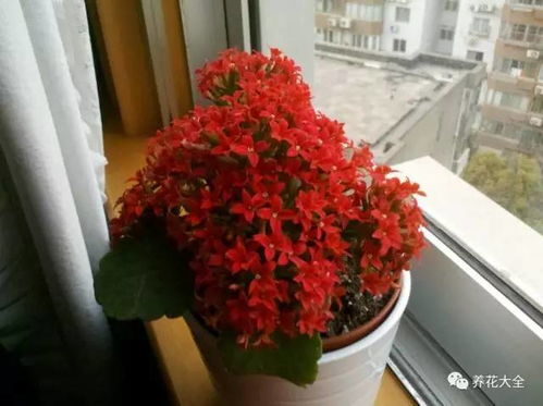 二、土壤和施肥管理