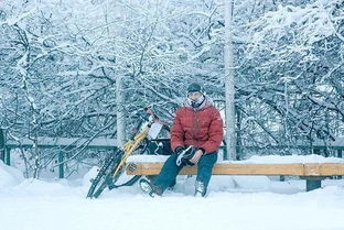 在冰天雪地中绽放的美丽——冰雪美人花卉