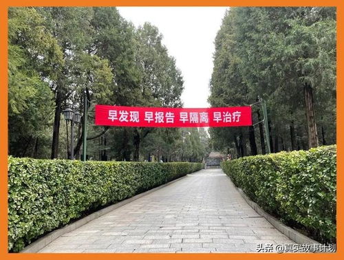 墓地绿化， 选对植物彳艮重要