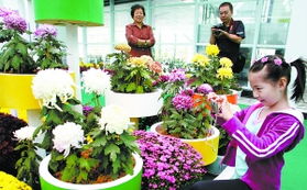 国际鲜花港：花卉爱好者的天堂
