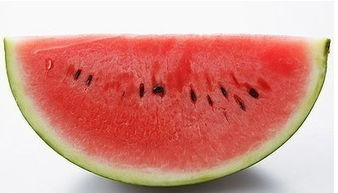 氨基酸冲施肥，听起来好像挺高级的。