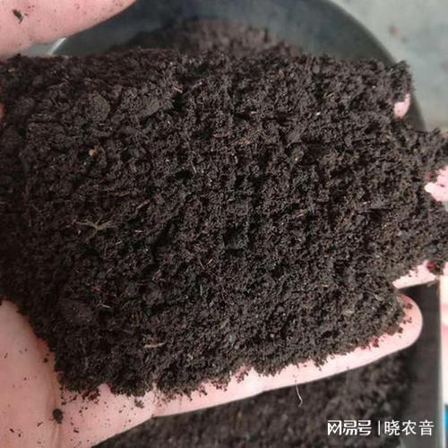 豆渣腐熟后是哪种肥料？家庭自制不臭不烧根的3种发酵法有何区别？