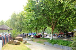 北京绿化博览园营业时间揭秘啦！