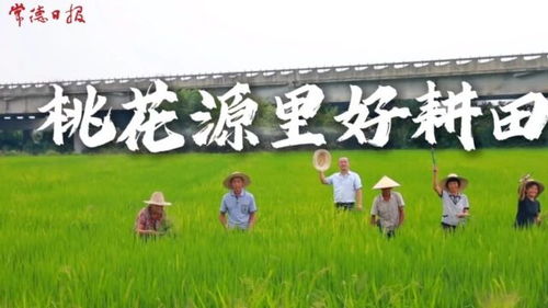 农资保养，守护丰收之源