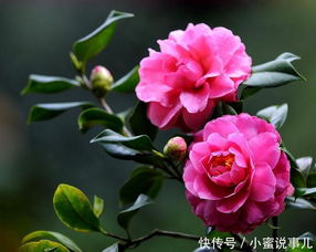 浇水有讲究：水是生命的源泉