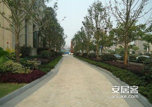 园区绿化，绿篱一平米，多少棵合适？