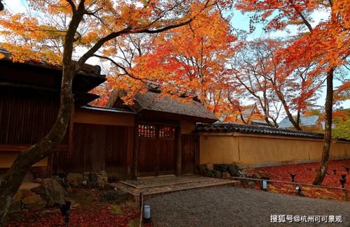 梅花与花木兰，芬芳迷人