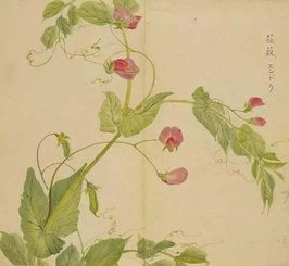 如何挑选既诗意又吉祥的名字