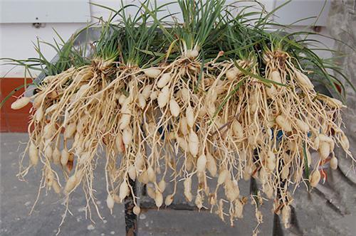 夏天 火辣辣的考验