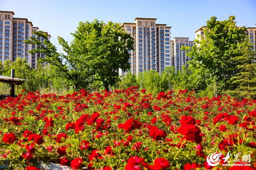 航拍湛江麻章区南国花卉市场
