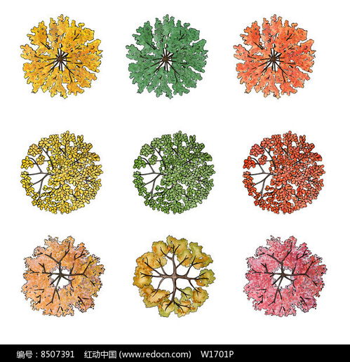 黄色叶子的灌木小秘籍