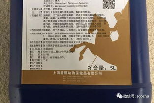 反向遗传破局：非洲猪瘟防控新曙光