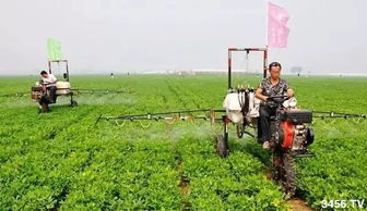 花生地除草剂使用，你真的懂了吗？