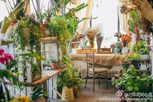 利润的花朵，在情感价值的附加中绽放