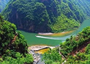 那些美丽的花儿