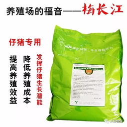 如何通过这份饲料方案，减少养殖场800吨甜菜浪费，实现收益翻倍？