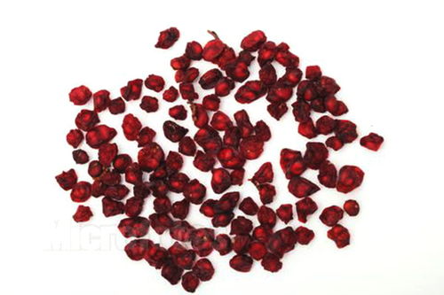 一、五味子苗一亩地栽植多少棵？