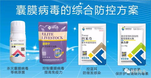 养猪必备：兽药、消毒、疫苗规范全解析