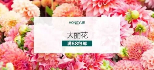 “2021绣球新贵，爆款花卉新品来袭！”