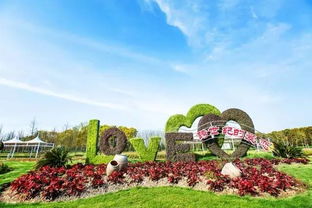 上海迪士尼：一池碧波中的绿色仙境