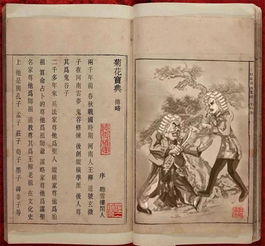 菊花宝典，揭秘武功秘籍