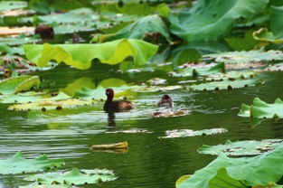 一、 东北冬季气候特点