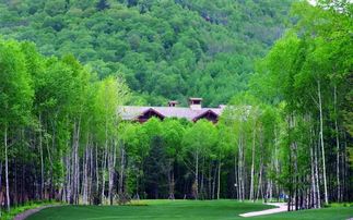 价格并非唯一考量因素