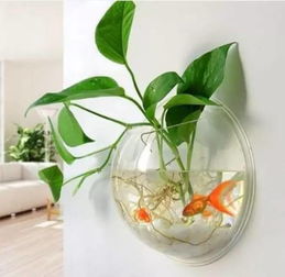 没有植物，鱼在水里怎么生存