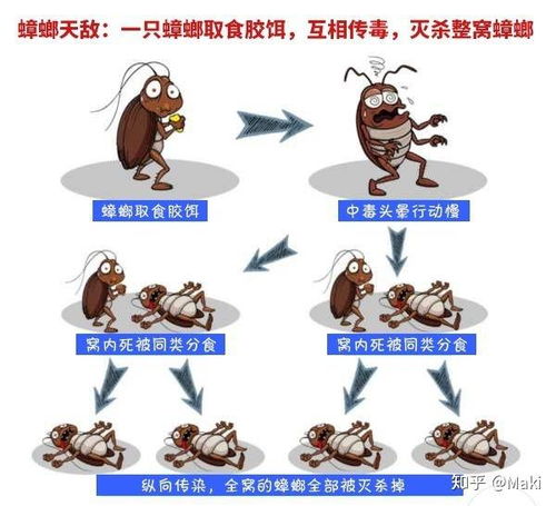 腻虫怎么消灭？教你几个小妙招