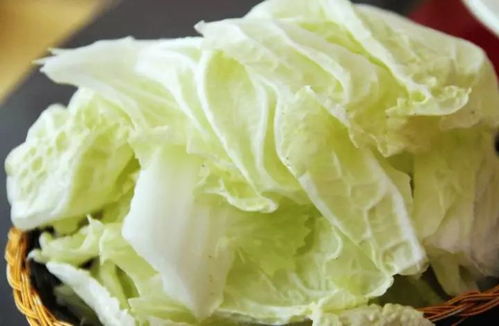 用水养白菜秘诀是什么？如何快速生长